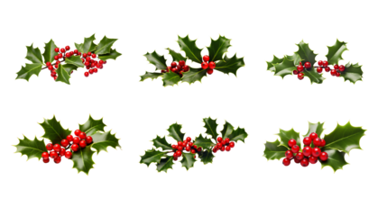 Collection of PNG. Christmas holly isolated on a transparent background.