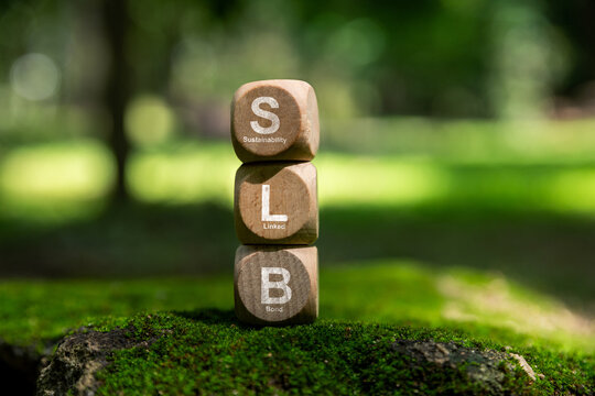 SLB - fixed income instrument, Bond where its financial or structural characteristics are tied to Sustainability ESG, Social projects or a combination of both are called Green bond.