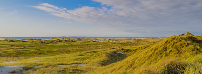 View of coastal landscape at North sea with sand dunes of Isle Amrum,Schleswig-Holstein, Germany....