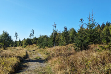 Path in Sumava National Park, Czech Republic - 682205214