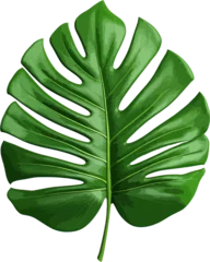 Gordijnen Green jungle leaf clip art © Diana