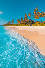 Beautiful tropical beach. Sea waves white sand, palm trees, turquoise ocean against sunny blue sky...