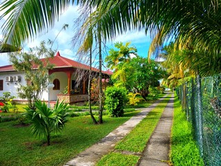 Seychelles, path in front of the bungalows of Anse Kerlan on the island of Praslin