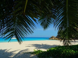 Seychelles, Praslin island, Anse Georgette beach