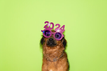 Flirty bitch with pink glasses, bold and sexy new year greeting year 2024. Copy space