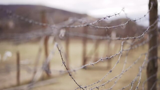 Barbed wire - the Iron Curtain border. Eastern Europe history. Refocus of Barbed wire. Dark history of Communism.