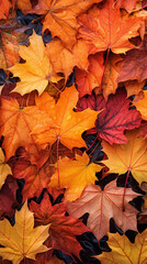 Fototapeta premium autummn leaves a november created with Generative Ai