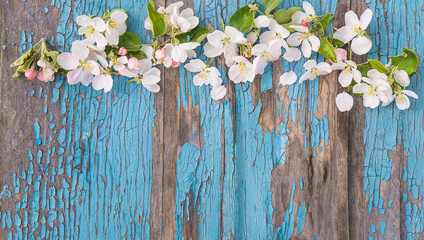 Frame of apple blossom on the old blue paint wooden background; Happy mother's day background