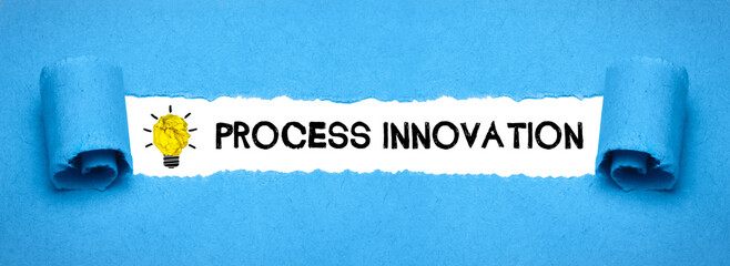 Process Innovation	