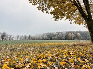 Es wird Herbst im Erzgebirge