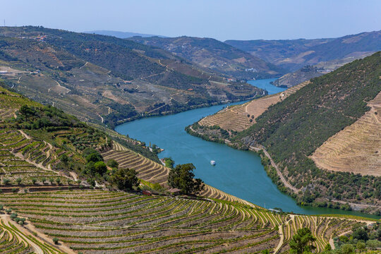 douro river valley near Pinhao