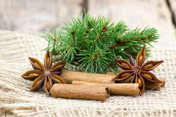 cinnamon sticks and star anise spices