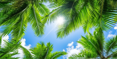 Fototapeta premium Coconut Palm tree with blue sky and sun, beautiful tropical background. Palm trees against blue sky 
