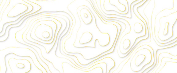 White papercut background with golden stroke