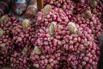 Allium cepa or Allium ascalonicum,  The shallot  are used in cooking sliced deep fried shallots are used as a condiment in Asian cuisine