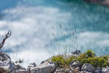 Kroatien / Winnetou / Canyon / Fluß