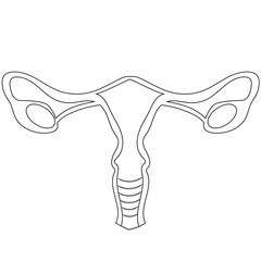 lineart logo of a healthy female organ namely the cervix
