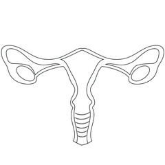 lineart logo of a healthy female organ namely the cervix