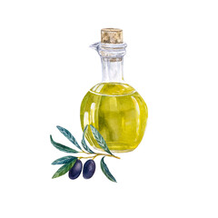 A set of watercolor elements.  branch of ripe purple olives with leaves, glass bottle with olive oil hand-painted in watercolor on white background. 