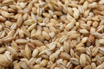 Dry pearl barley as background, closeup view