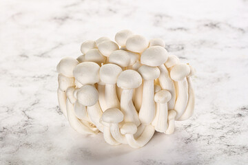 Japanese Shimeji mushroom for cooking