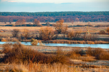 View of the valley of the Siversky Donets River. Landscape in the countryside with a forest on the horizon on an autumn sunny day