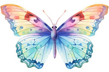 Watercolor butterfly design