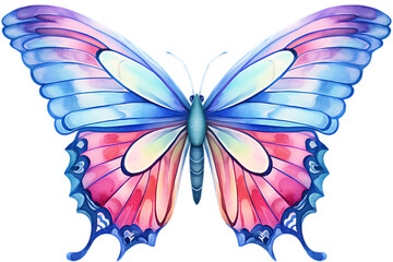 Watercolor butterfly design