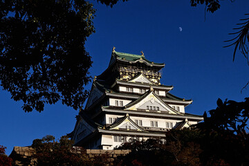 Fototapeta premium 木の葉と大阪にある城