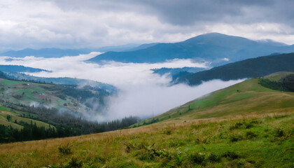 Fototapeta na wymiar impressivee nature landscape amazing countryside landscape with valley in fog behind the grassy hills picture of wild area awesome nature background carpathian mountains ukraine
