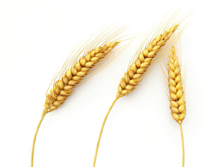 Close-up of Wheat Grains