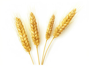 Close-up of Wheat Grains