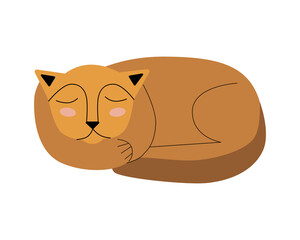 Vector sleeping cat. Cute orange cat isolated on white background