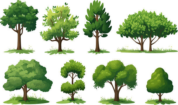 field trees set isolated vector style with transparent background illustration