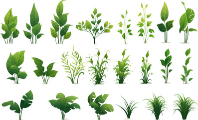 jungle vegetation set isolated vector style with transparent background illustration