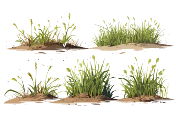 Fotobehang marsh vegetation set isolated vector style with transparent background illustration © Zaharia Levy