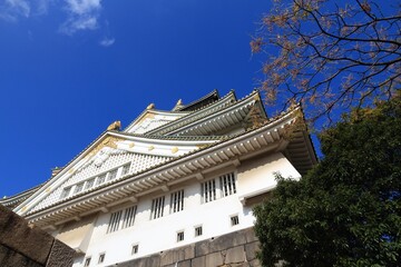 Fototapeta na wymiar Japanese castle in Osaka, Japan