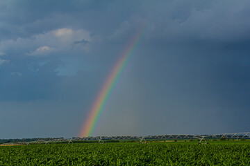 Large irrigation system in a green field, with a beautiful rainbow forming in the spray against a backdrop of cloudy skies
