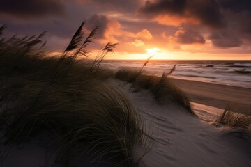  the sun is setting over the ocean and the beach grass is blowing in the wind and the sand is blowing in the wind and the grass is blowing in the foreground.