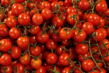 Many fresh ripe tomatoes as background, top view