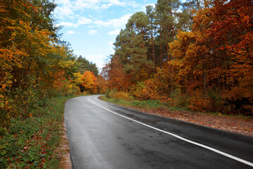 Naklejka premium Beautiful view of asphalt road going through autumn forest