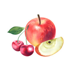 Red-orange apple and cherry on a white background. Watercolor illustration. Healthy and baby food. juicy, ripe fruit. Template for postcards, stickers, icons.