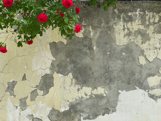 vintage wall with flowers, roses as a background