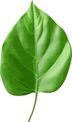 Green leaf clip art