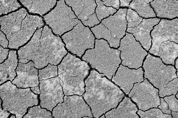 Wall texture soil dry crack pattern of drought lack of water of nature brown old broken background.