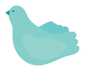 dove animal isolated on white