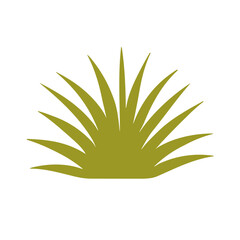 Green grass vector isolated flat design