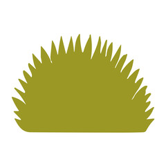 Green grass vector isolated flat design