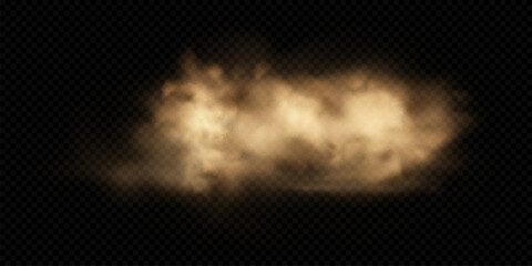 Sand cloud with dust isolated on transparent background. Desert storm, sandstorm. Brown dusty cloud or dry sand flying. Realistic vector illustration - obrazy, fototapety, plakaty