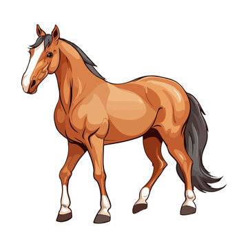 Horse animal in cartoon style on transparent background, Horse Stiker design.